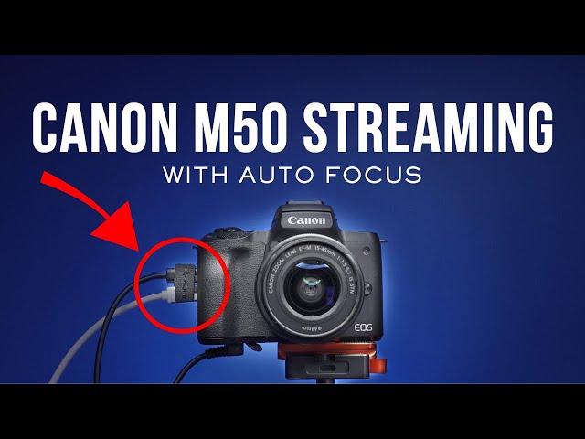 Canon M50 Live Streaming with Auto Focus!
