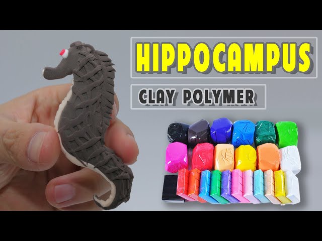 Hippocampus | A Simple Tutorial To Make From Clay