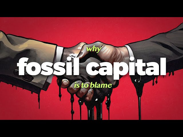 Why Capitalism is Killing Us