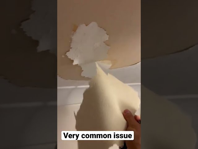 Worlds worst peeling ceiling paint