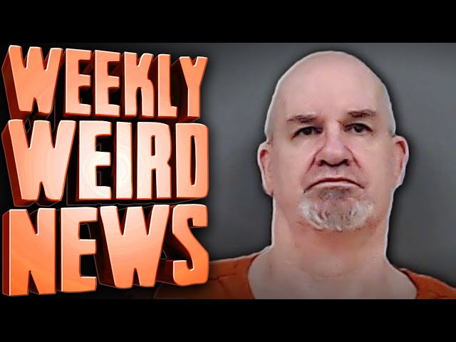 This Identity Theft Story is INSANE - Weekly Weird News