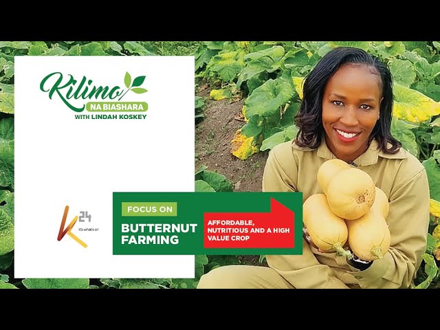 Focus on Butternut Farming | Kilimo na Biashara