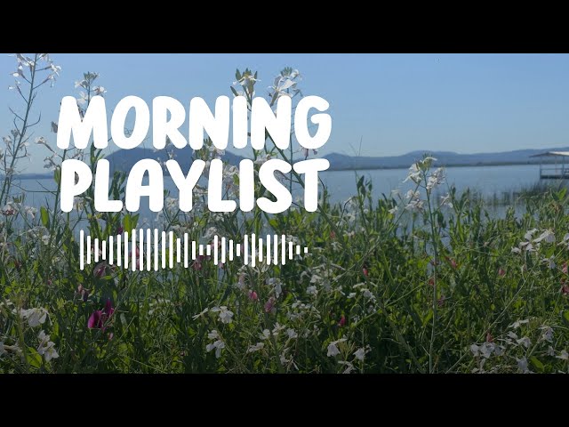#13 Morning Vibes | Songs that make you feel better and positive to start your day ~ Morning songs