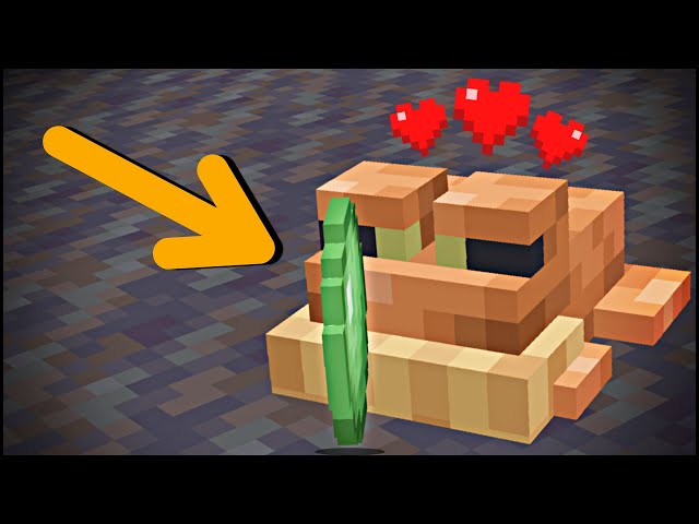 How to Tame Frogs in Minecraft 1.19 (The Wild Update)
