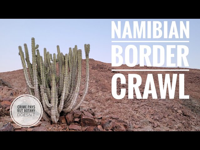Namibian Border Crawl & Lotto Ticket Exposé