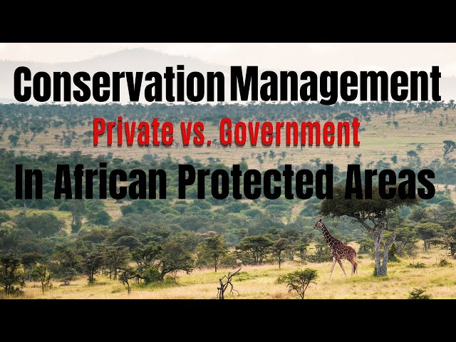 A Comparative Analysis of Private & Government Management of Protected Areas in Africa | Sean Denny
