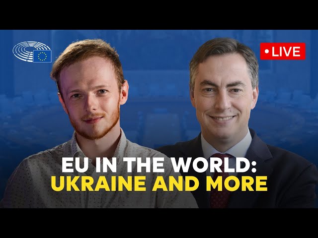 Tim Kozukhov@DebatniDenik talks to leading MEP about EU's relations with the rest of the world