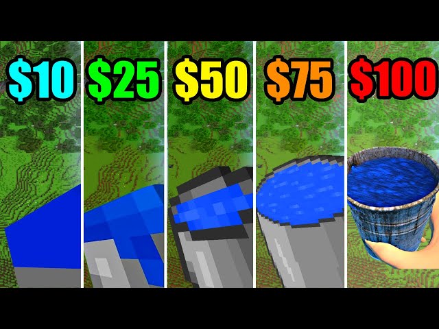 minecraft: 10$ vs 25$ vs 50$ vs 75$ vs 100$