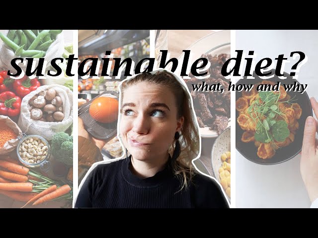 what is a "sustainable" diet? // a nuanced and non-judgemental take