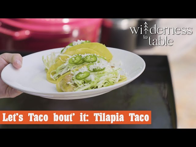 Let’s Taco Bout It: Tilapia Taco