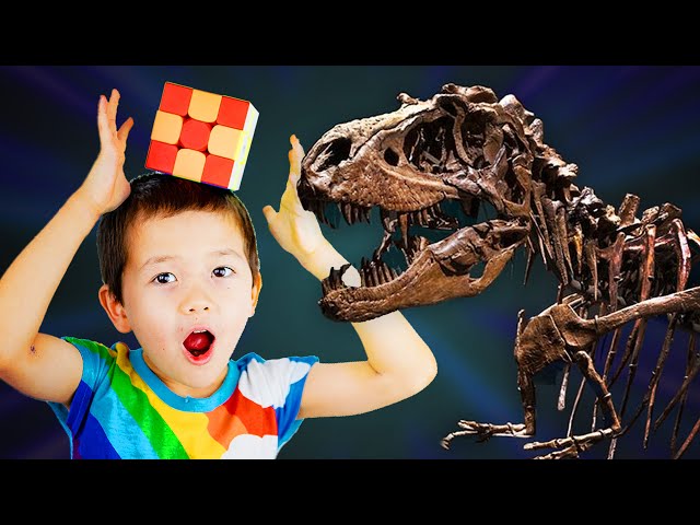 World's Biggest Dinosaur Meets Biggest Cube 😮 ADVENTURES WITH TINGBOY