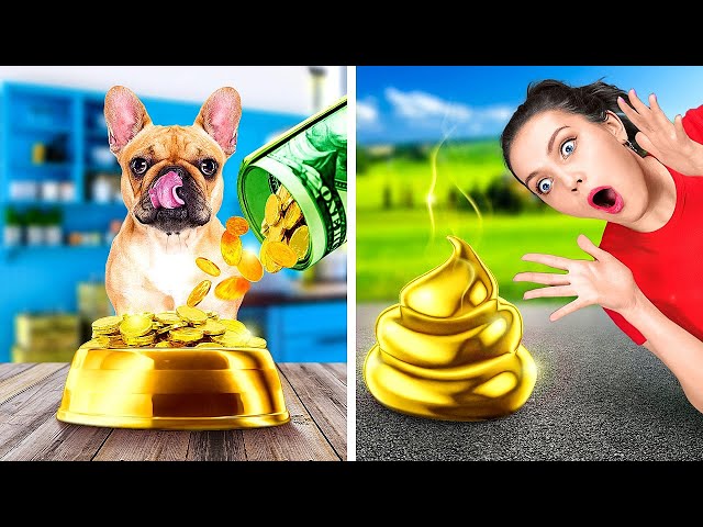 OMG! Lonely Puppy On Street! || Clever Hacks And Funny Situations By A PLUS SCHOOL