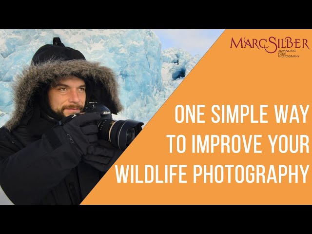 One Simple Tip for Better Wildlife Photography feat. Wildlife and Nature Florian Schulz #shorts