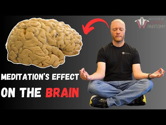 Science of Meditation: Brain Waves 101