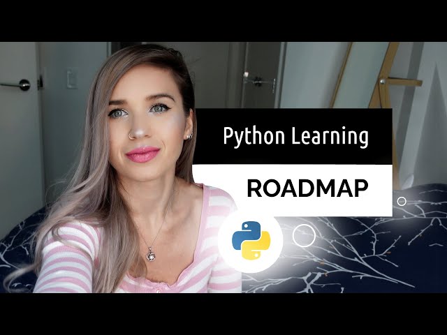 Python Learning Roadmap for Beginners - This is how I learned! - Vlog 4