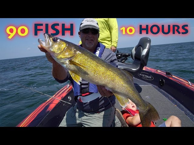 Walleye Fishing FRENZY on Mille Lacs