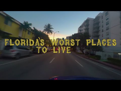 Everything About Florida Cities