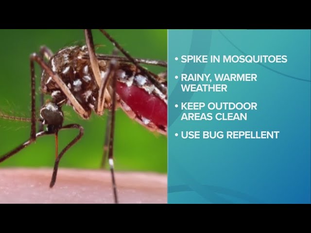 Lake County expecting increase in mosquitoes