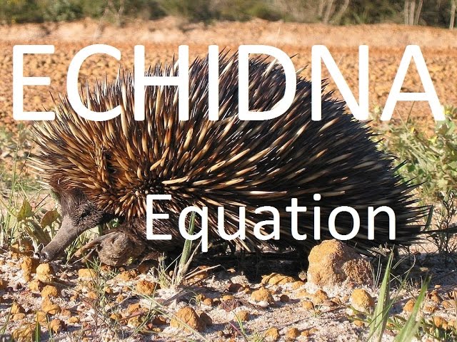 Echidna equation