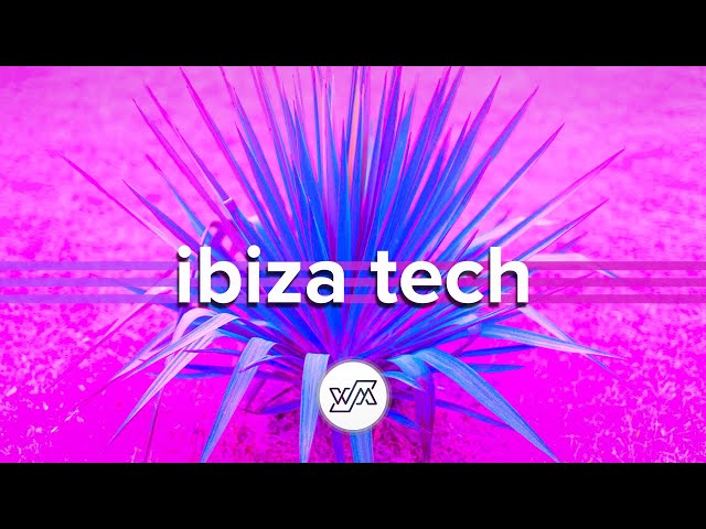 Ibiza Tech House Mix - January 2020 (#HumanMusic)