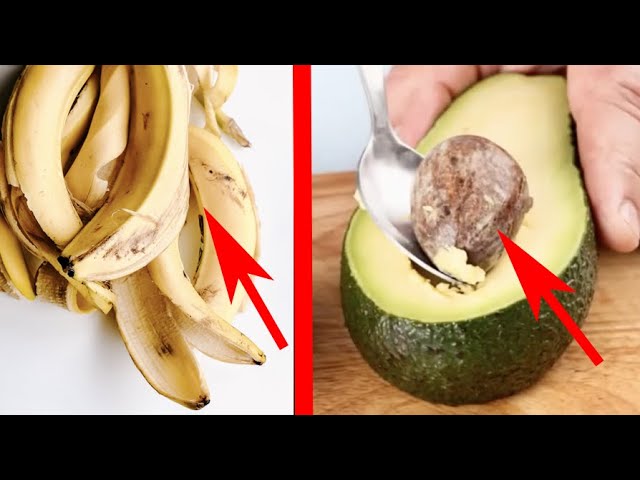 You will never throw away these 12 food parts after watching this video!!
