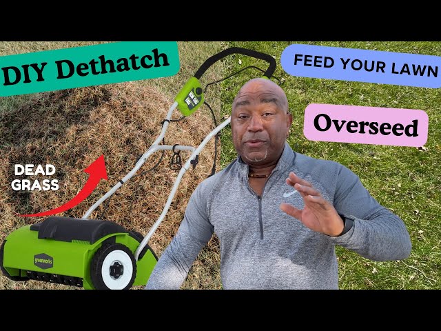 🇨🇦 How to DETHATCH  & OVERSEED your Lawn with GREENWORKS Dethatcher