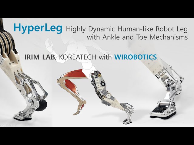 Introducing HyperLeg: Human-like Robot Leg and Foot for Highly Dynamic Motions