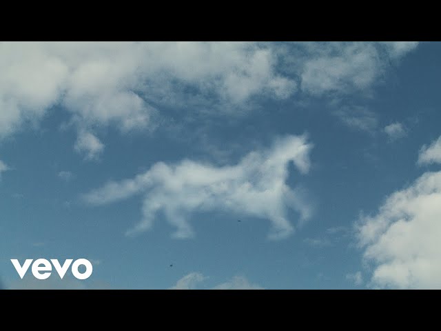 Kings Of Leon - Mustang (Official Music Video)