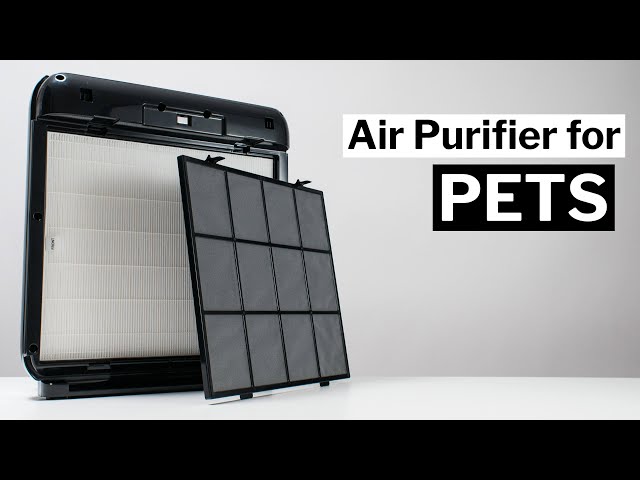 The Best Air Purifier for Pets