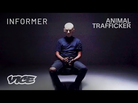 How I Trafficked Animals Illegally | Informer