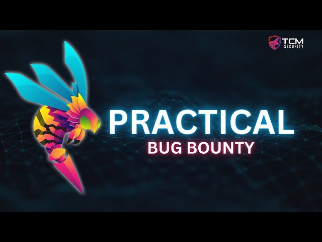 Practical Bug Bounty
