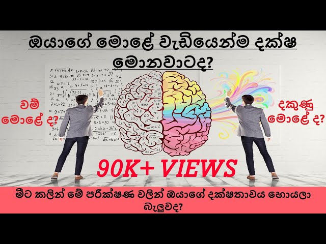 Check Which Side Of Your Brain Dominants - Sinhala
