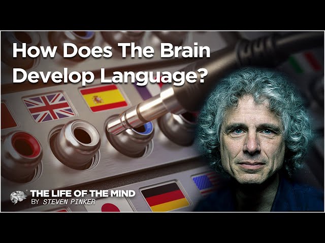 How Does The Brain Develop Language? (S1EP5)