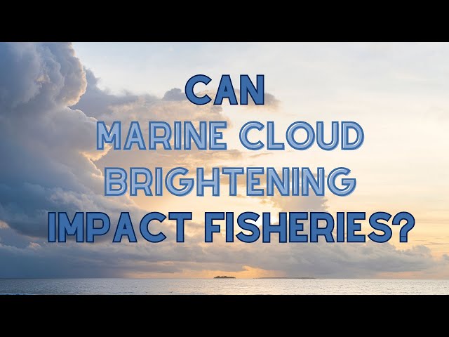 The Impact of Marine Cloud Brightening on Eastern Pacific Fisheries | Cali Pfleger