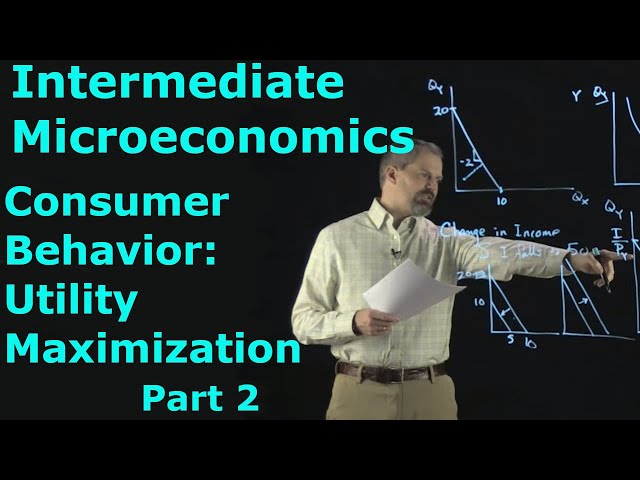 Intermediate Microeconomics: Consumer Behavior, Part 2