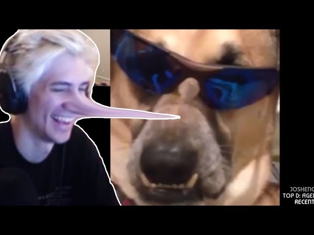 xQc REACTS to Favourite vines part 2