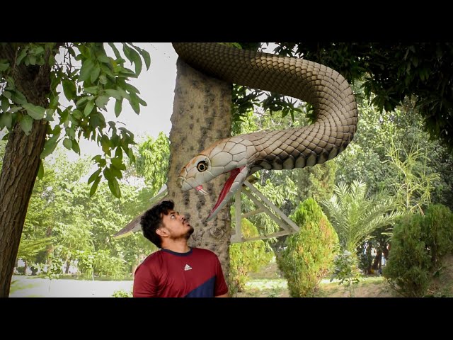 Anaconda Snake in Real Life Part 1 | Huzi Films