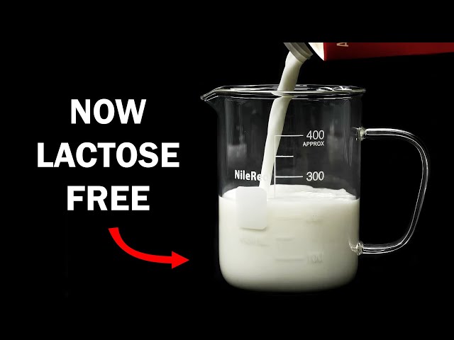 Making milk lactose free