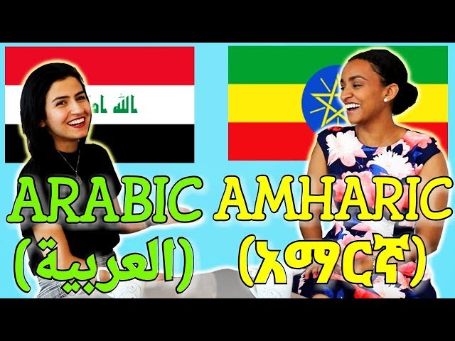 Similarities Between Arabic and Amharic