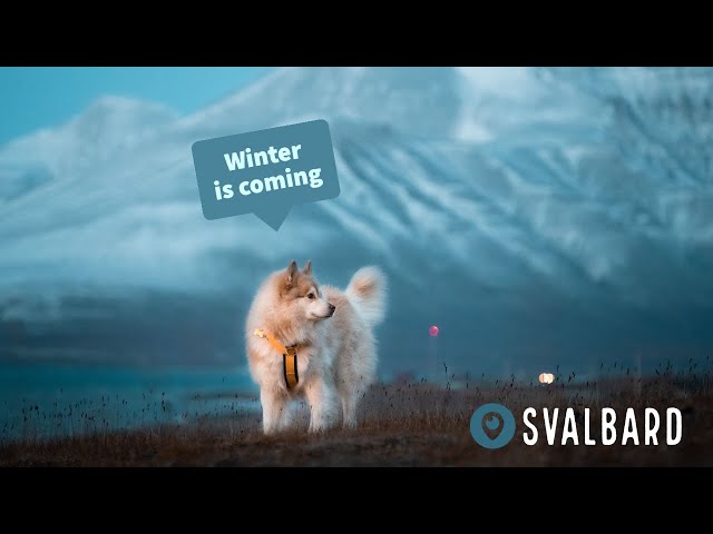 October mornings on SVALBARD | Days in the life in the ARCTIC | Northernmost Norway