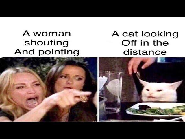 WOMAN YELLING AT A CAT MEME COMPILATION V2