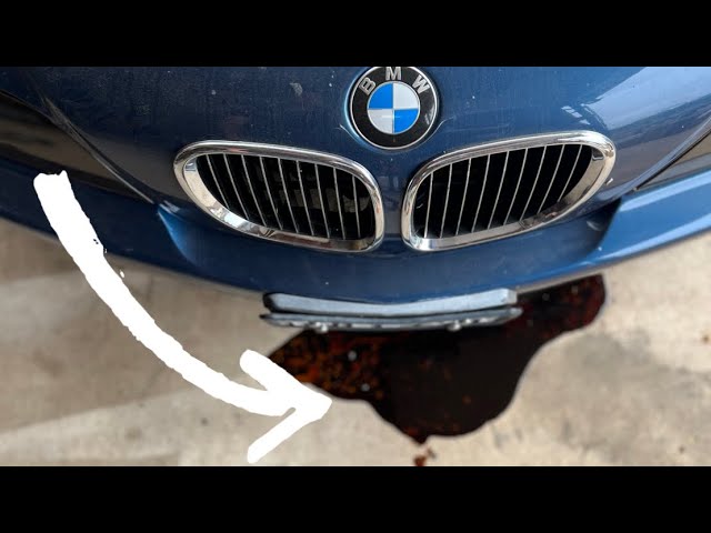 The Overlooked Reason Why BMWs Leak Oil