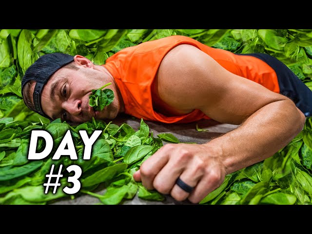 3 Day Spinach-Only Diet Challenge (I almost died...)