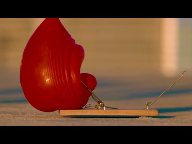 Dropping EVERYTHING on a Mousetrap in SLOW MOTION!
