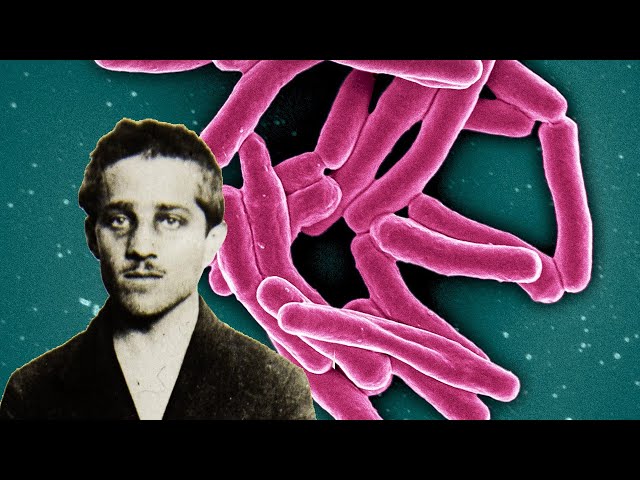 Did TB Cause World War I?