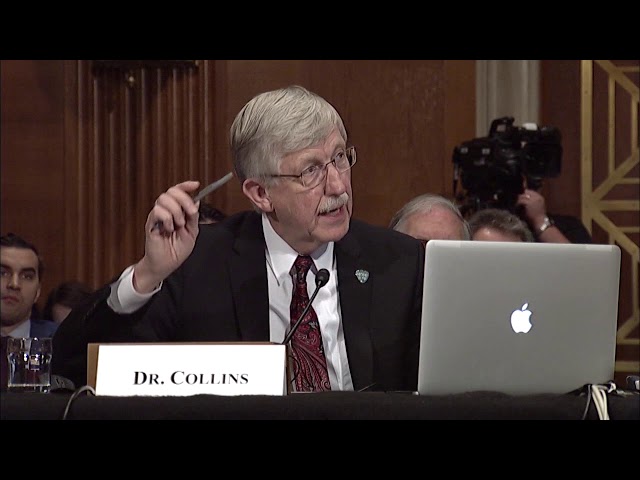 Senator Warren asks NIH Director about Increasing Funding for Biomedical Research