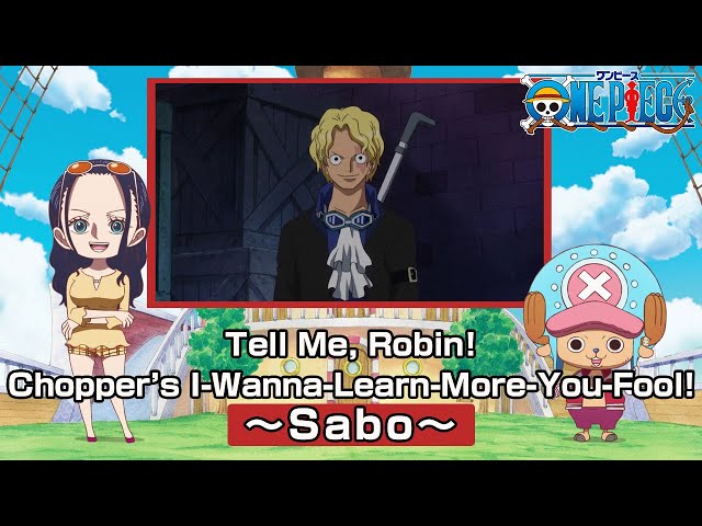 Tell Me, Robin! Chopper’s I-Wanna-Learn-More-You-Fool! 〜Sabo〜