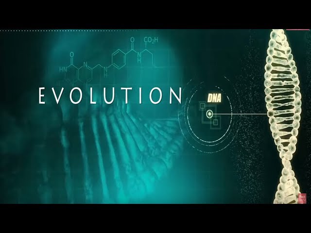 शरीर के अंग जो शताब्दियों बाद विकसित हो जाएंगे | Organ Evolution in Humans Explained