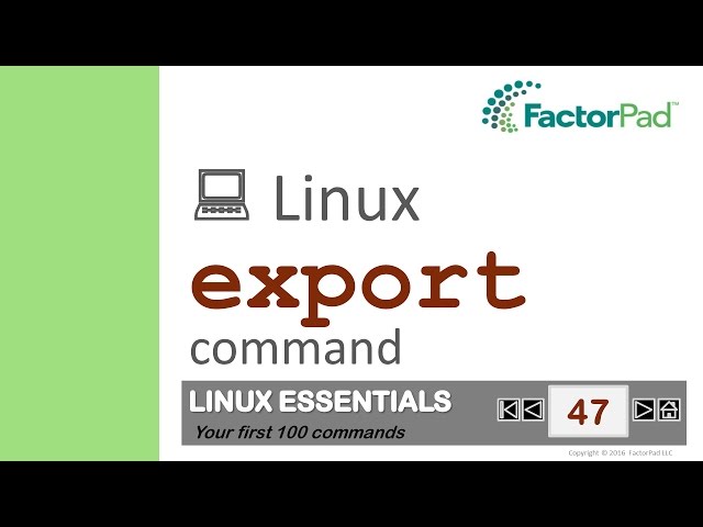 Linux export command summary with examples