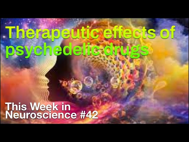 TWiN 42: Therapeutic effects of psychedelic drugs